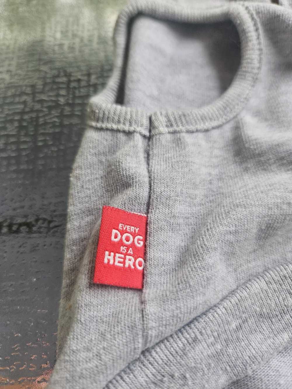 Howl If You Love Adventure Grey & Navy Dog Hoodie
